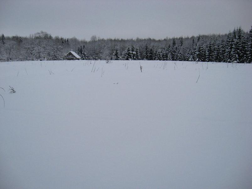 Vaali suusamatk 2011