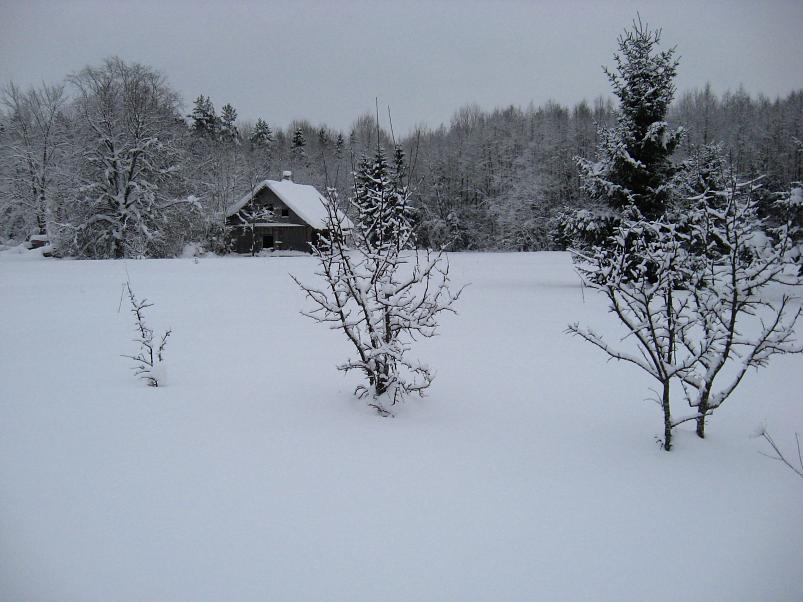 Vaali suusamatk 2011