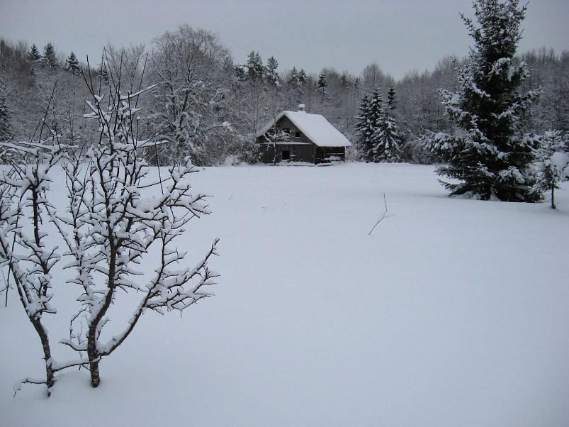 Vaali suusamatk 2011