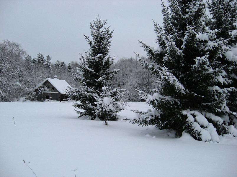 Vaali suusamatk 2011