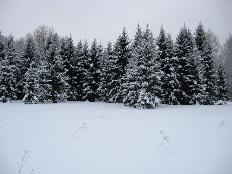 Vaali suusamatk 2011