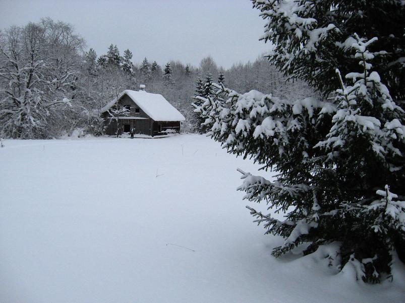 Vaali suusamatk 2011