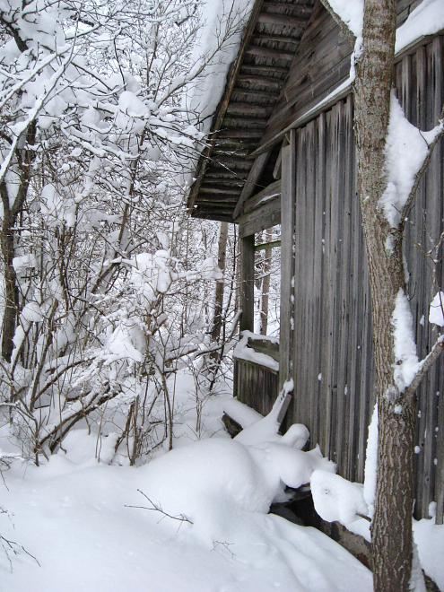 Vaali suusamatk 2011