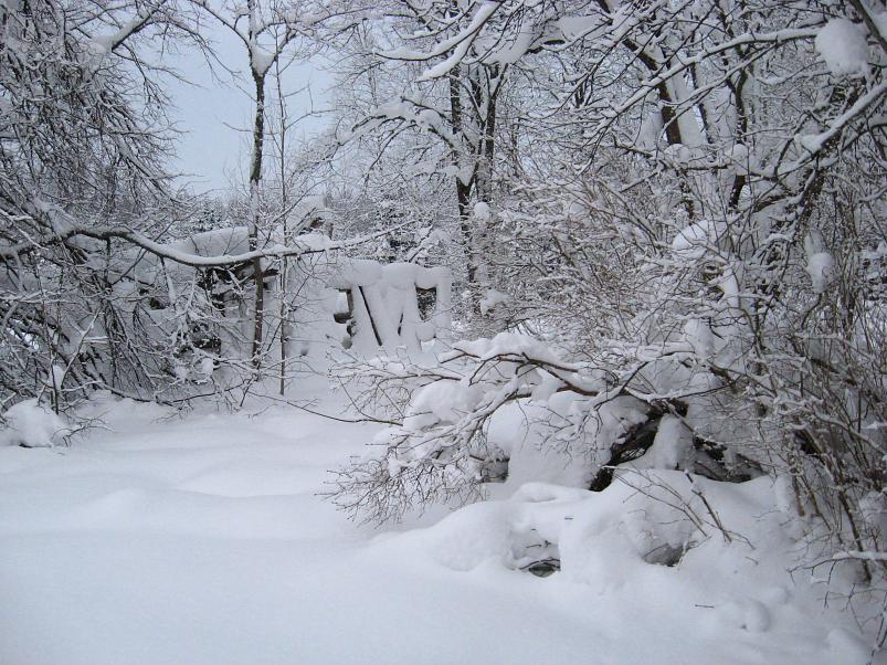 Vaali suusamatk 2011