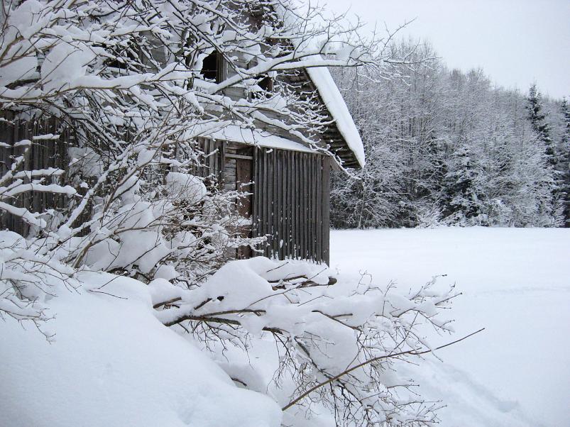 Vaali suusamatk 2011