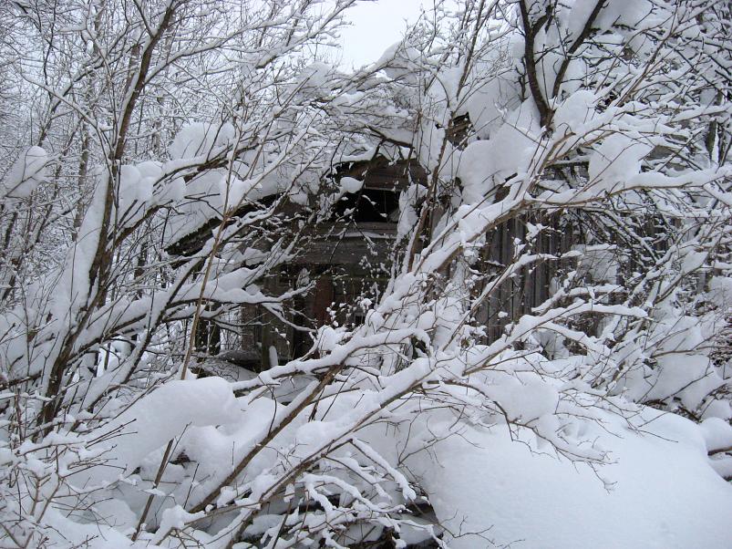 Vaali suusamatk 2011