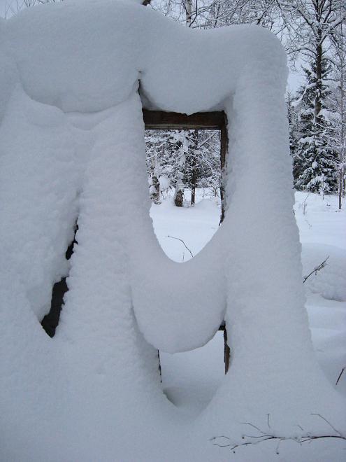 Vaali suusamatk 2011