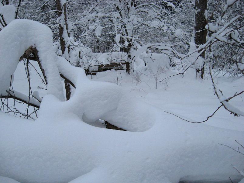 Vaali suusamatk 2011