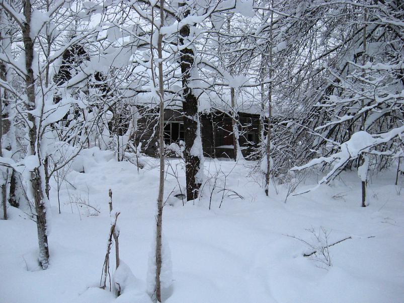 Vaali suusamatk 2011