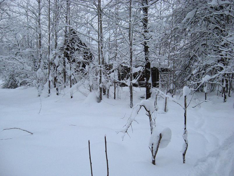 Vaali suusamatk 2011