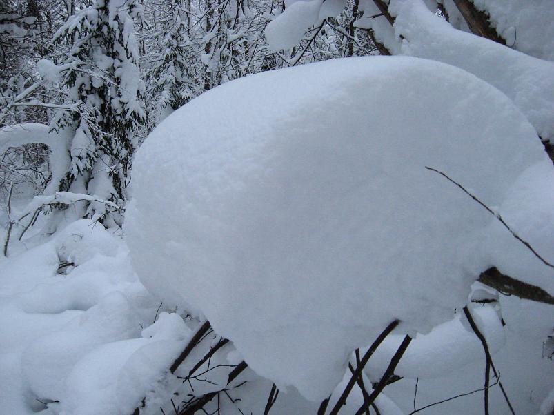 Vaali suusamatk 2011