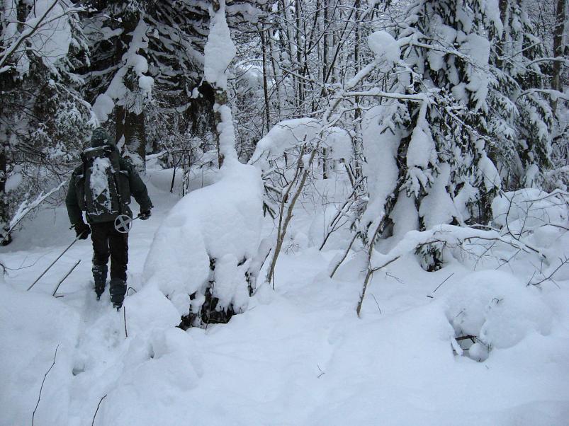 Vaali suusamatk 2011