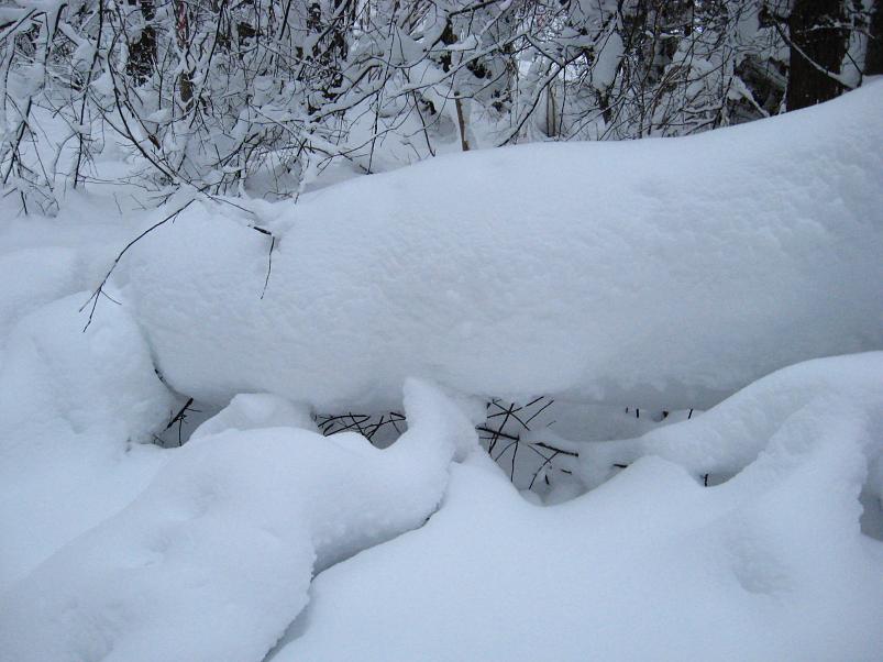 Vaali suusamatk 2011