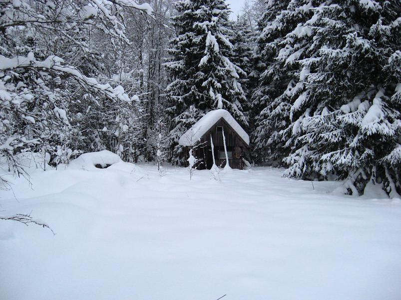 Vaali suusamatk 2011