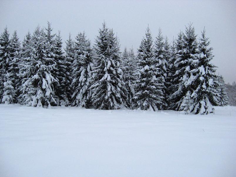 Vaali suusamatk 2011