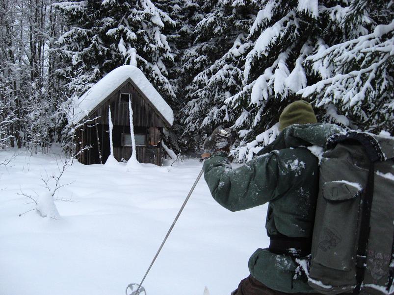 Vaali suusamatk 2011