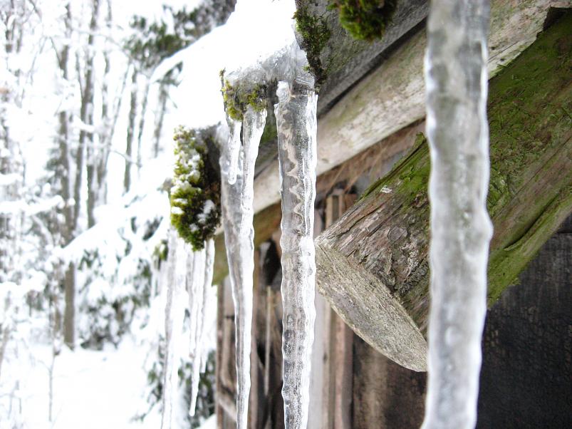 Vaali suusamatk 2011