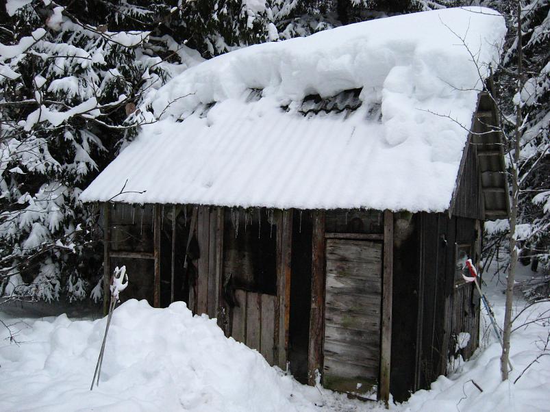 Vaali suusamatk 2011