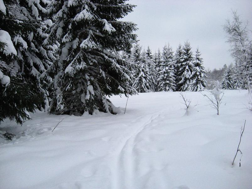 Vaali suusamatk 2011