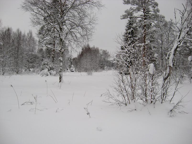 Vaali suusamatk 2011