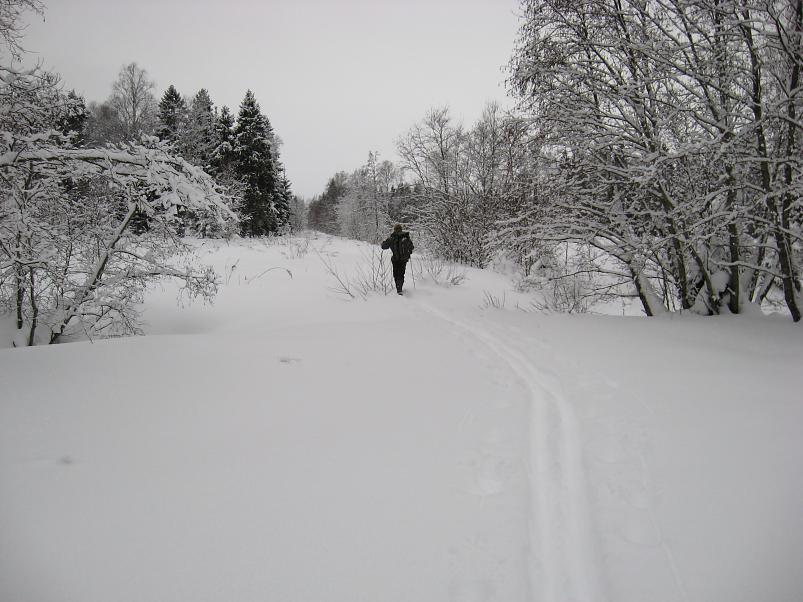 Vaali suusamatk 2011