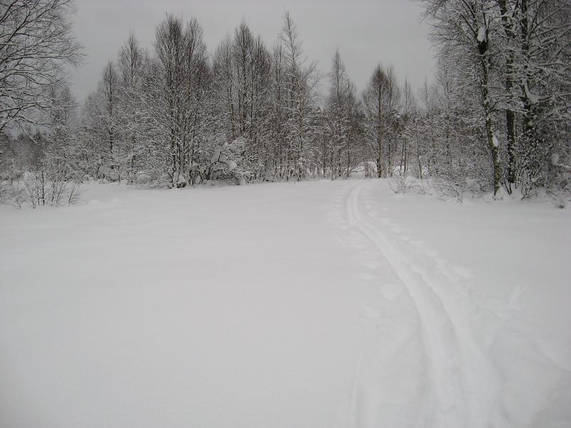 Vaali suusamatk 2011