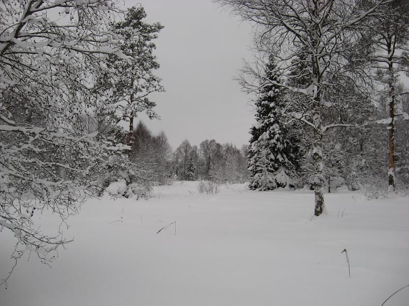 Vaali suusamatk 2011