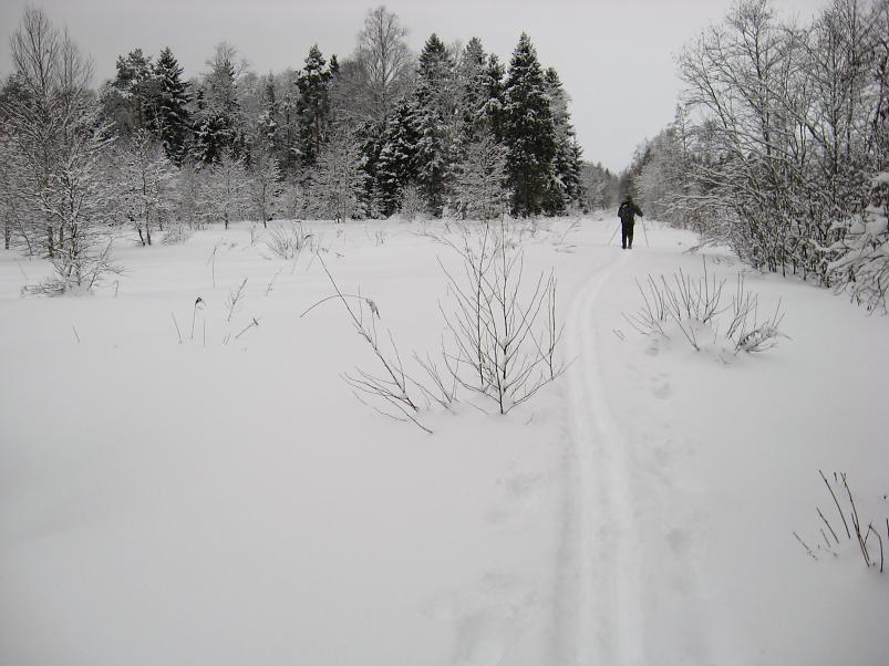 Vaali suusamatk 2011