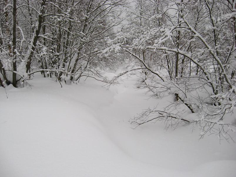 Vaali suusamatk 2011