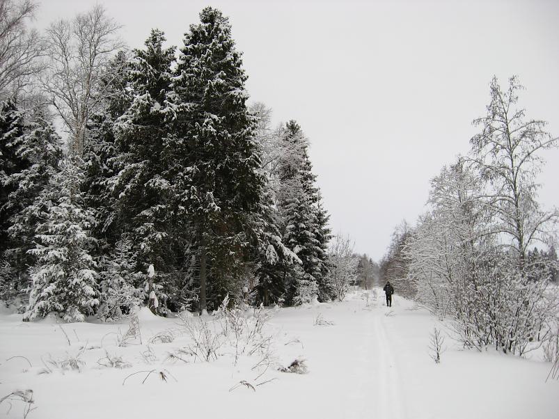 Vaali suusamatk 2011