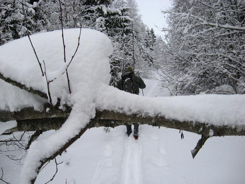 Vaali suusamatk 2011