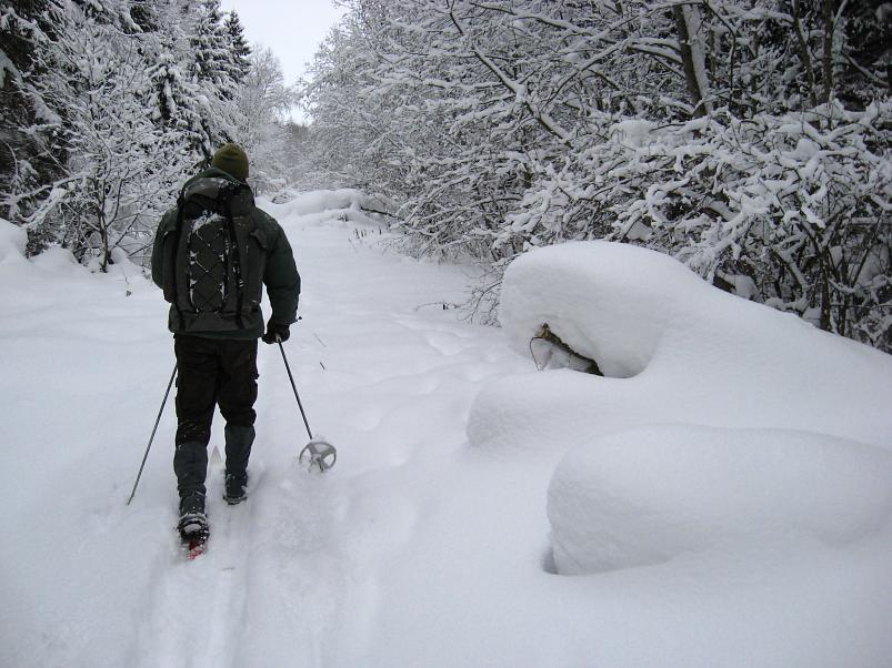 Vaali suusamatk 2011