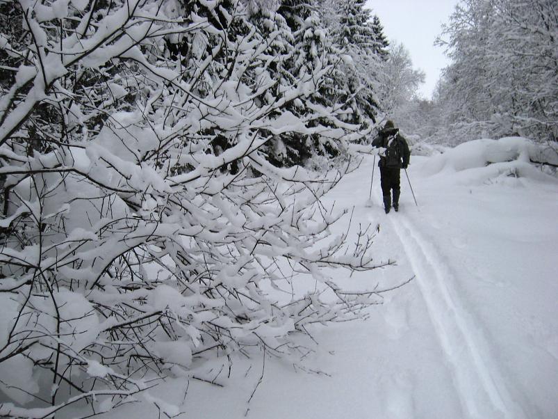 Vaali suusamatk 2011