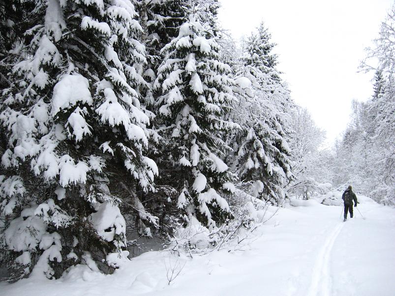 Vaali suusamatk 2011