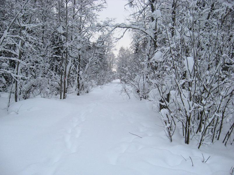 Vaali suusamatk 2011