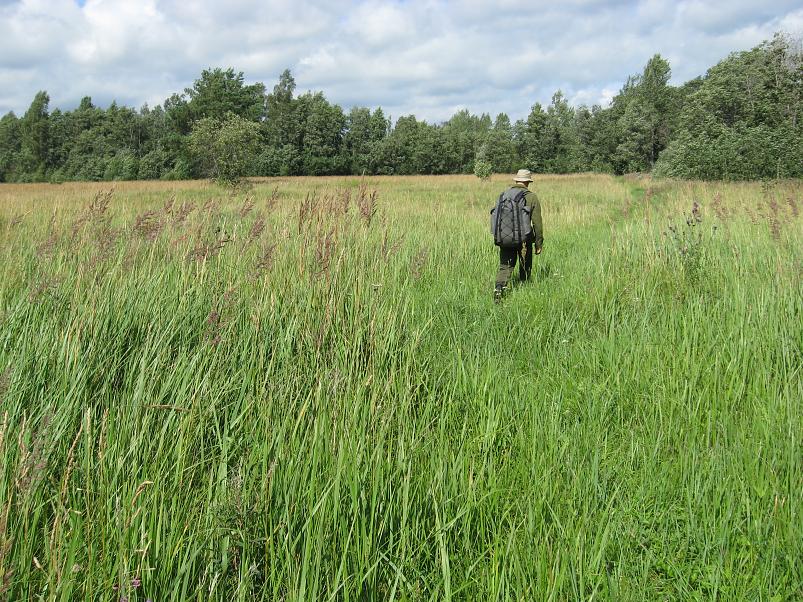 Narva ja Poruni j�gi 2007