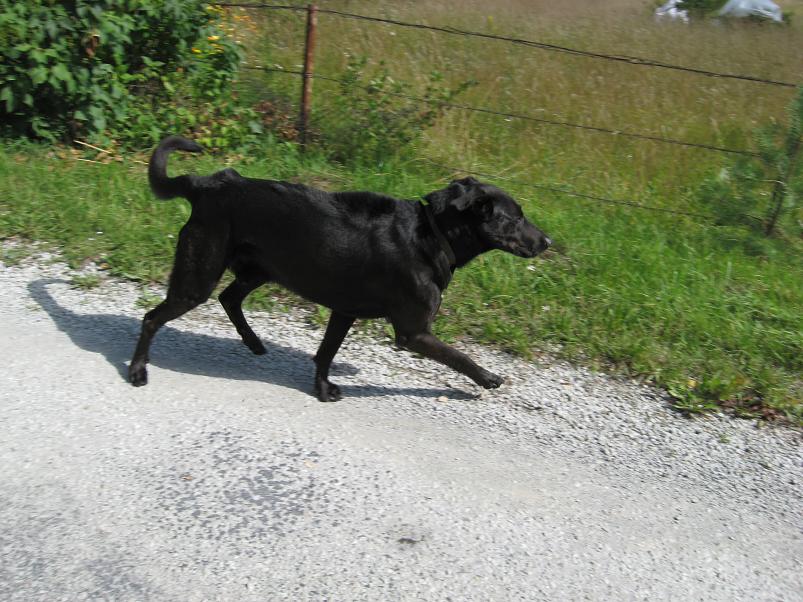 Narva ja Poruni j�gi 2007