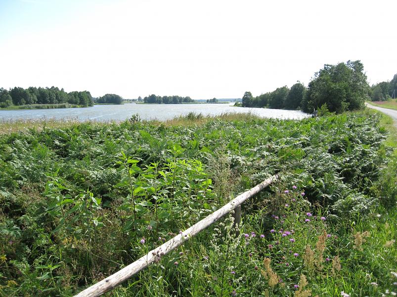 Narva ja Poruni j�gi 2007