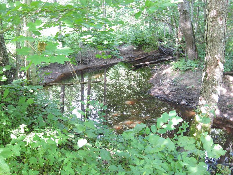 Narva ja Poruni j�gi 2007