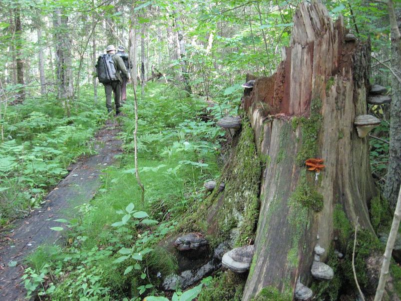 Narva ja Poruni j�gi 2007