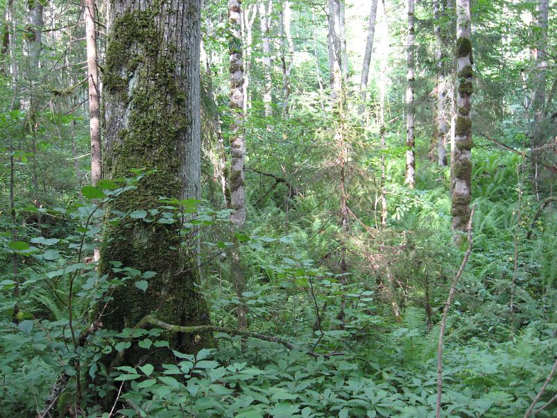 Narva ja Poruni j�gi 2007