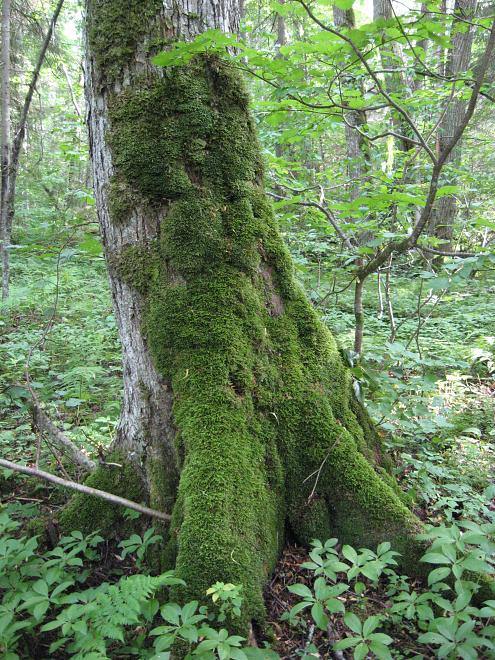 Narva ja Poruni j�gi 2007