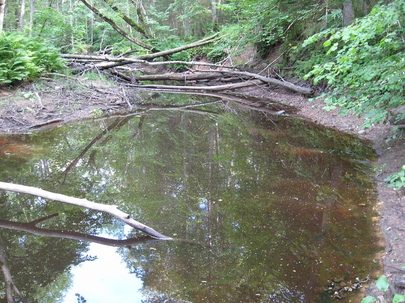 Narva ja Poruni j�gi 2007