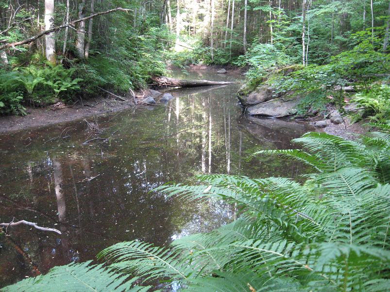 Narva ja Poruni j�gi 2007