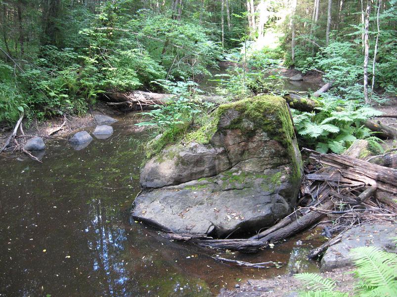 Narva ja Poruni j�gi 2007