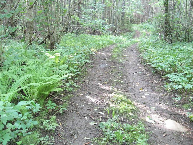 Narva ja Poruni j�gi 2007