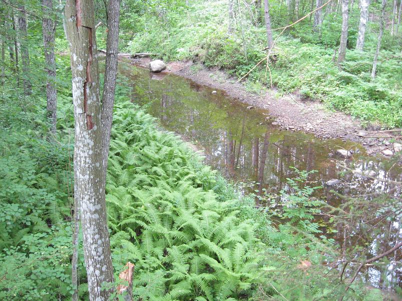 Narva ja Poruni j�gi 2007