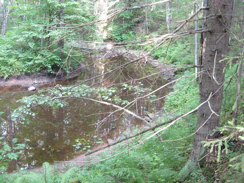 Narva ja Poruni j�gi 2007