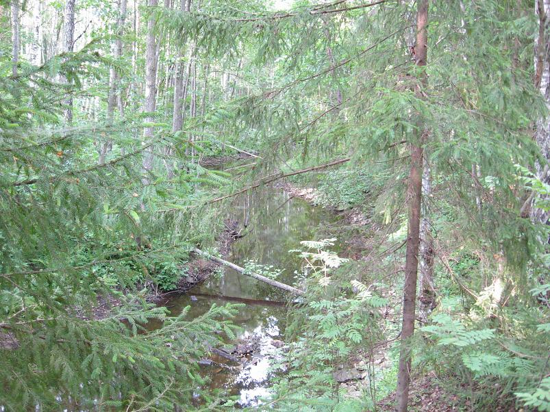 Narva ja Poruni j�gi 2007