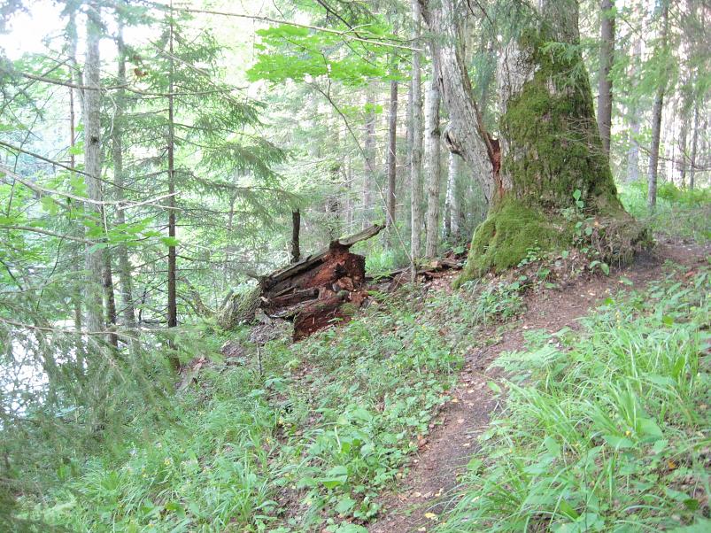 Narva ja Poruni j�gi 2007